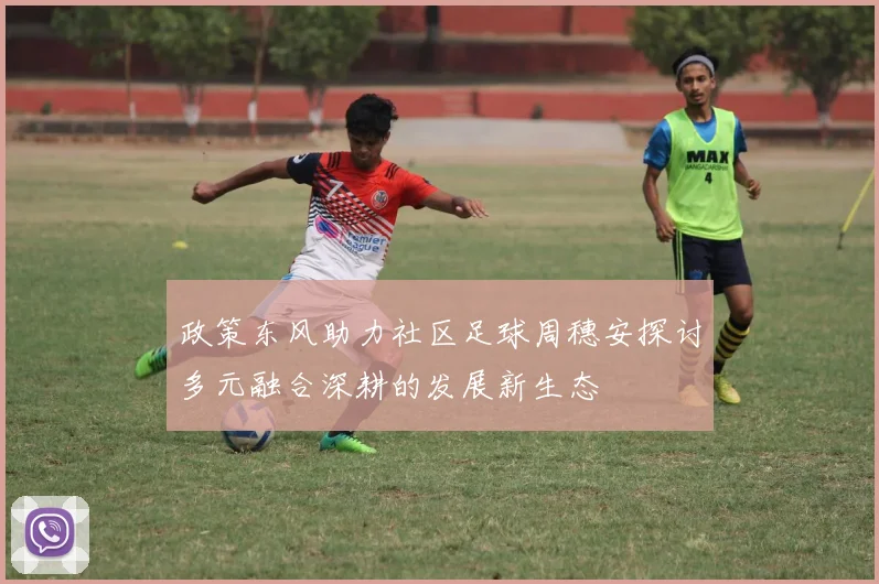 政策东风助力社区足球周穗安探讨多元融合深耕的发展新生态