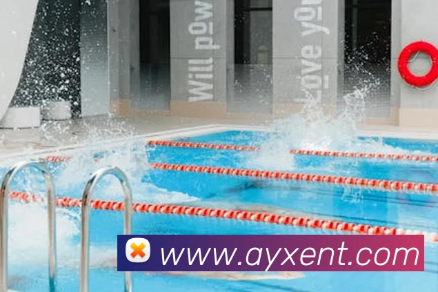 App Interface Preview