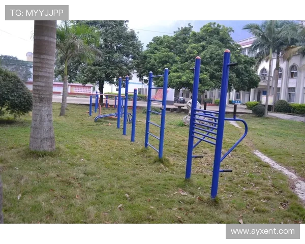 公共健身器材锻炼建议做几组效果最佳? 公共健身器材锻炼建议做几组效果最佳?