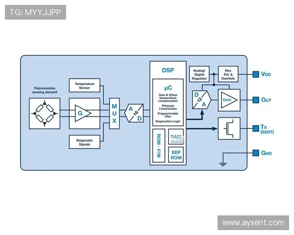 思博康品牌健身器材的性能与市场表现 思博康品牌健身器材的性能与市场表现
